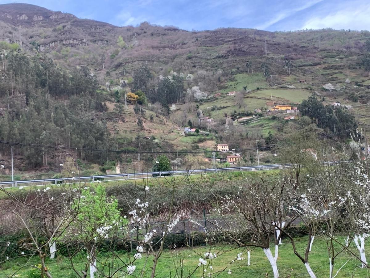 Casa Rural En Santa Cruz-Mieres Bustiello  Eksteriør bilde