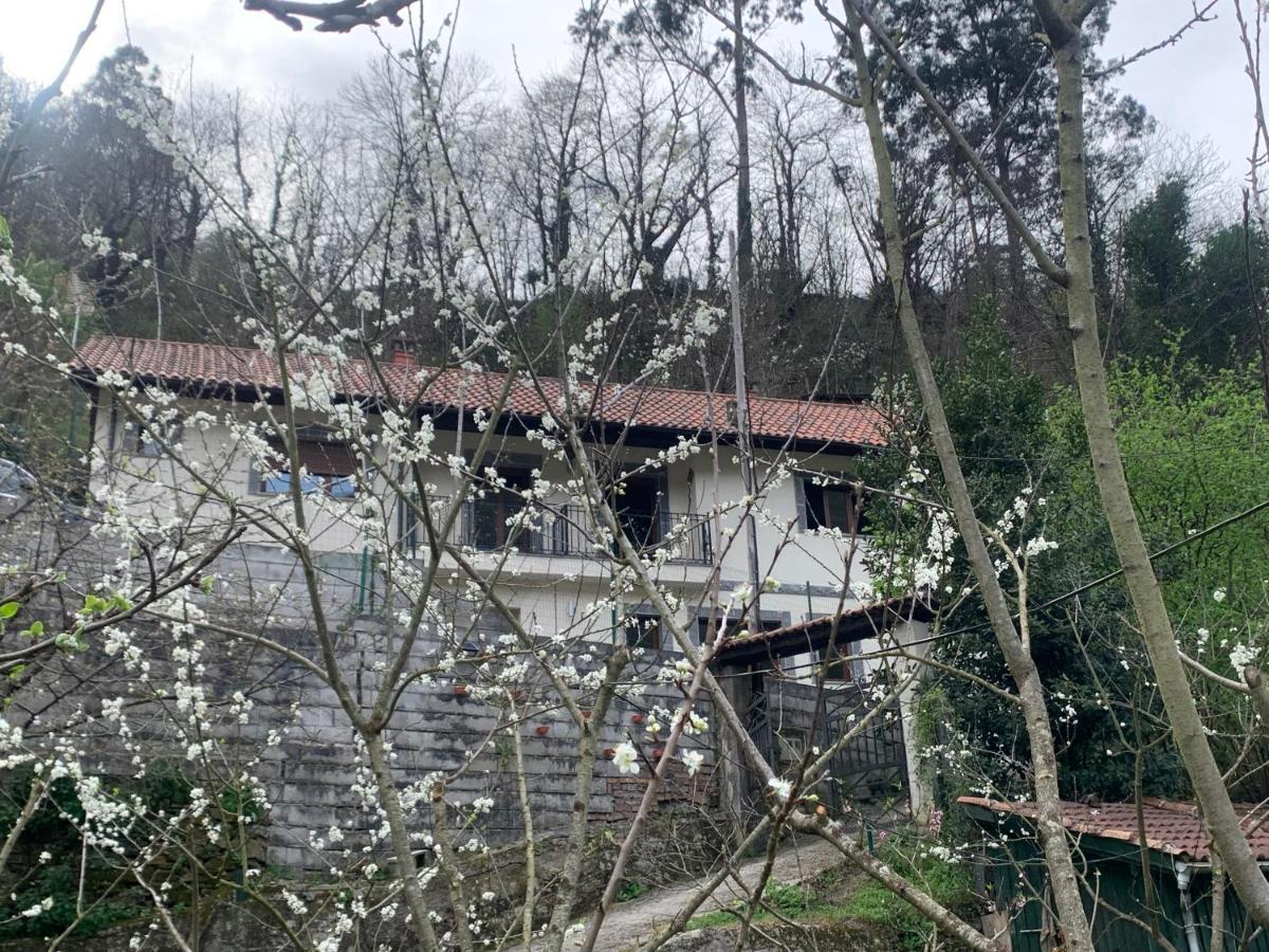 Casa Rural En Santa Cruz-Mieres Bustiello  Eksteriør bilde