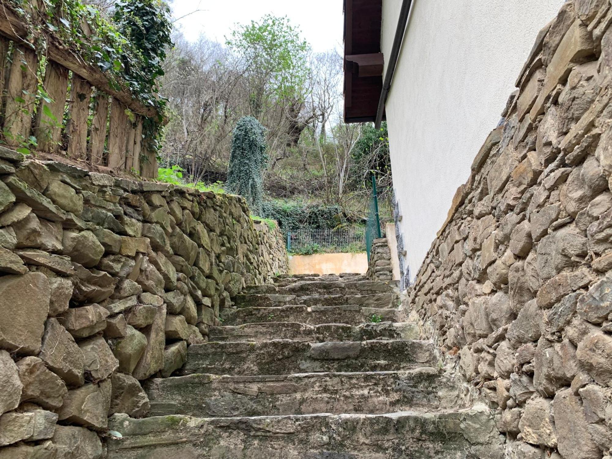 Casa Rural En Santa Cruz-Mieres Bustiello  Eksteriør bilde