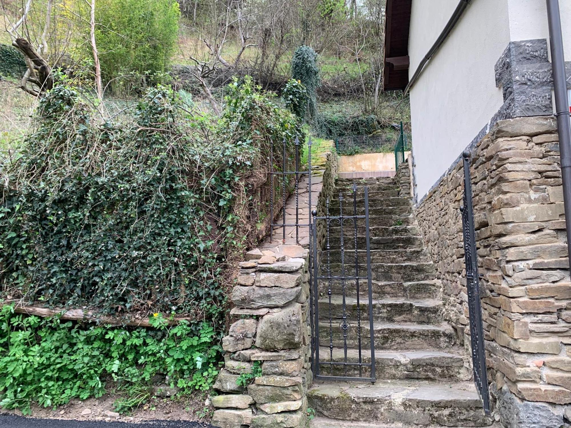 Casa Rural En Santa Cruz-Mieres Bustiello  Eksteriør bilde